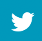 Twitter bird icon