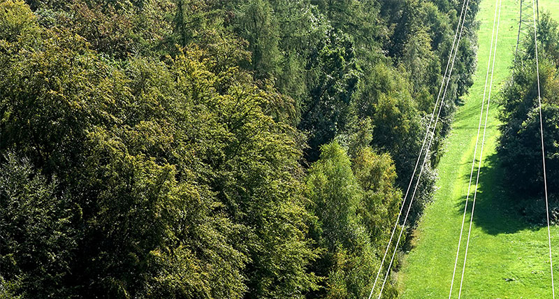 Reporter_78_When_electricity_is_on_the_line_01-800x428